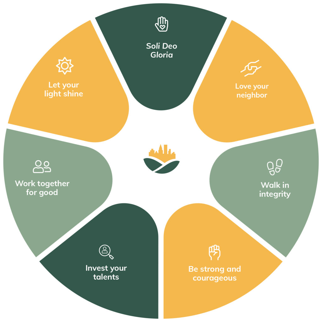 values-chart-transparent3-retina-city-hill